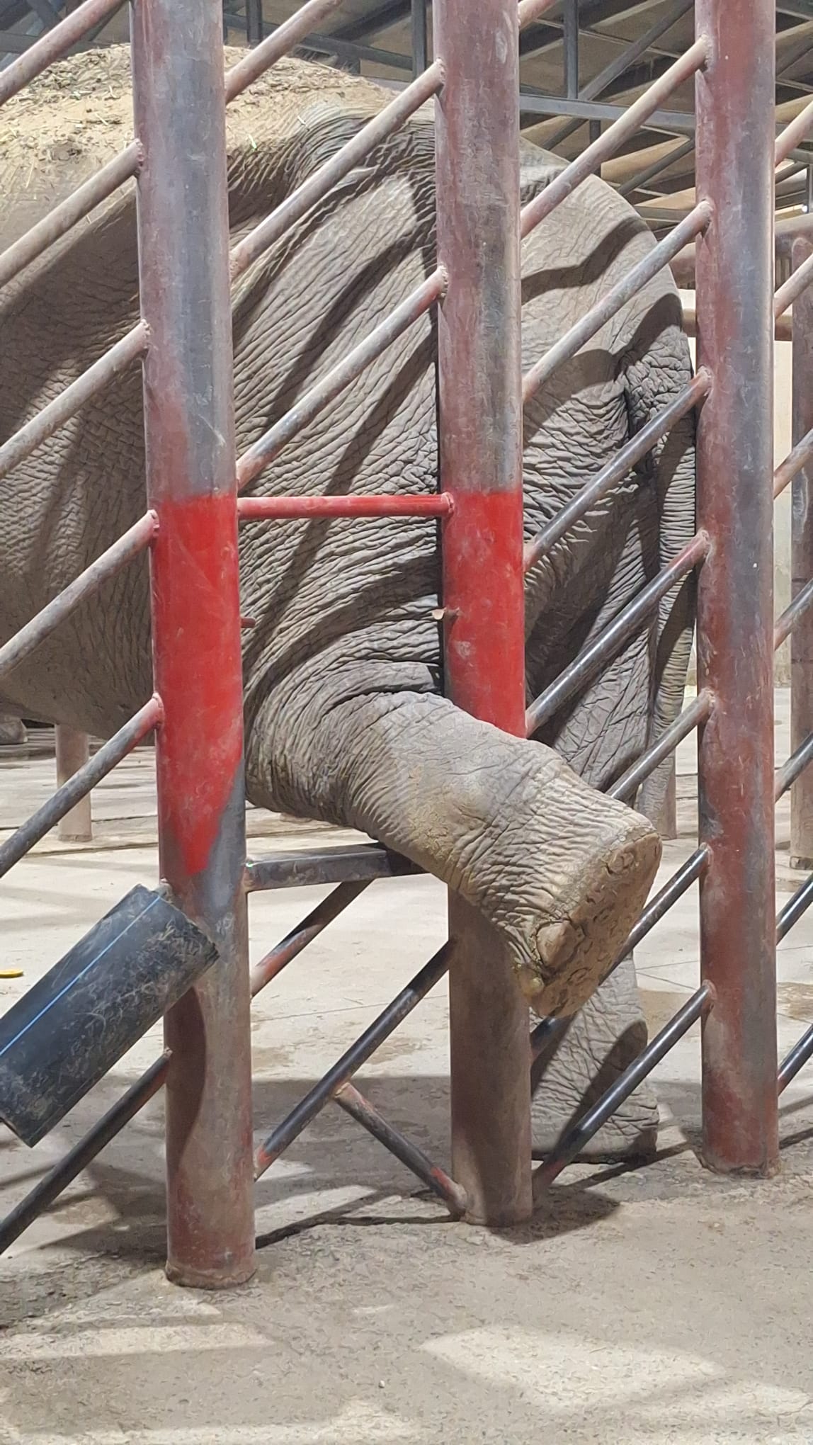 Terra Natura Benidorm