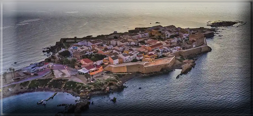 Tabarca tabarca