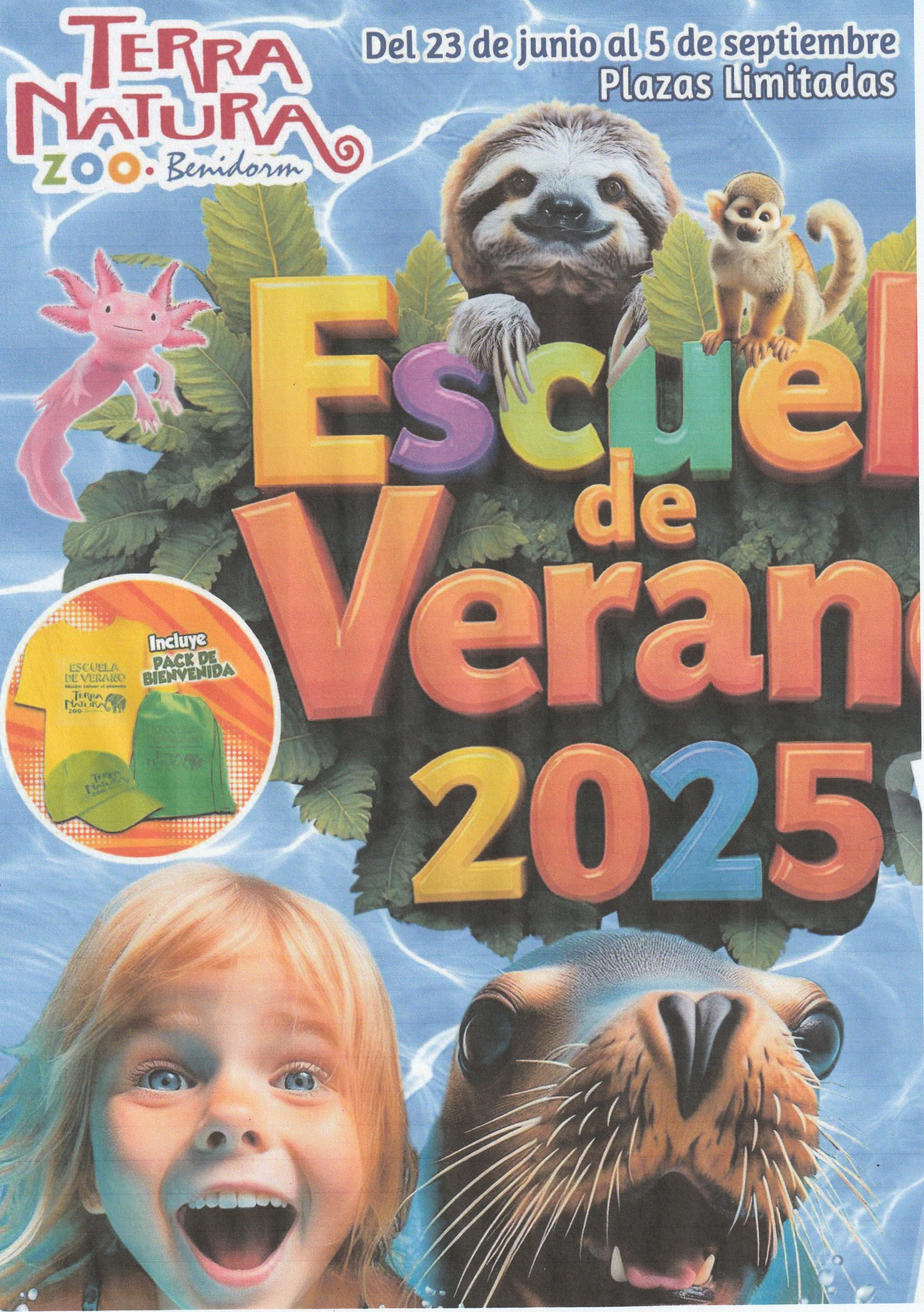 Escuela de verano